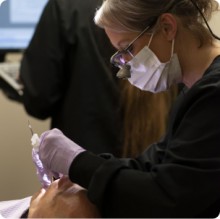 Dentistry